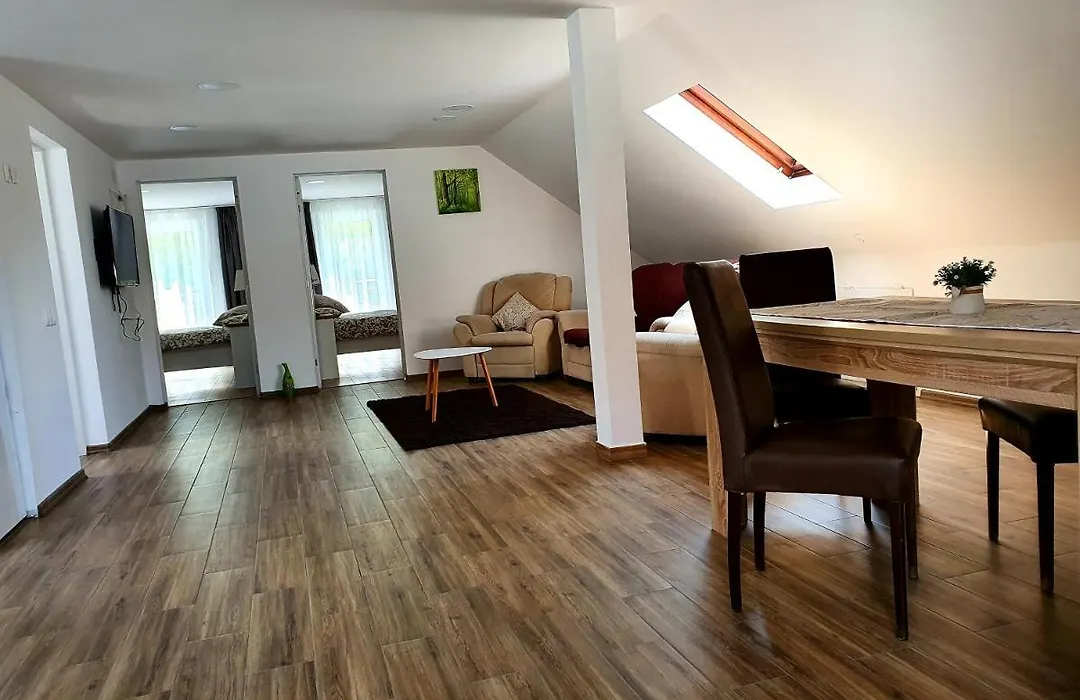 Twins Apartments Sovata-1