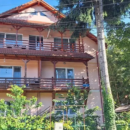 Cozy Apartment In Sovata Resort-2