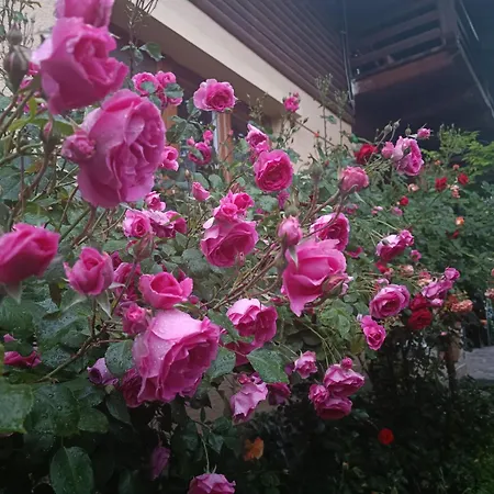 Pasager House-3
