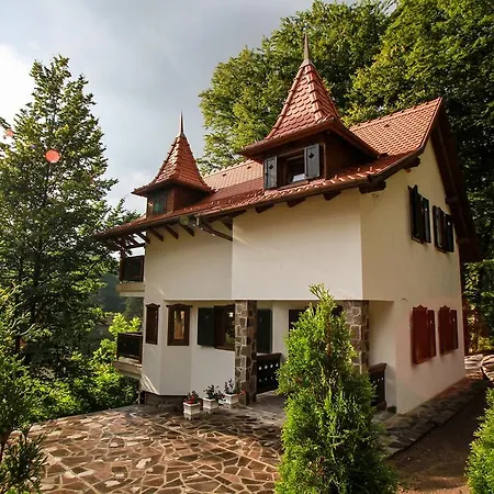 Vila Vista Sovata-2