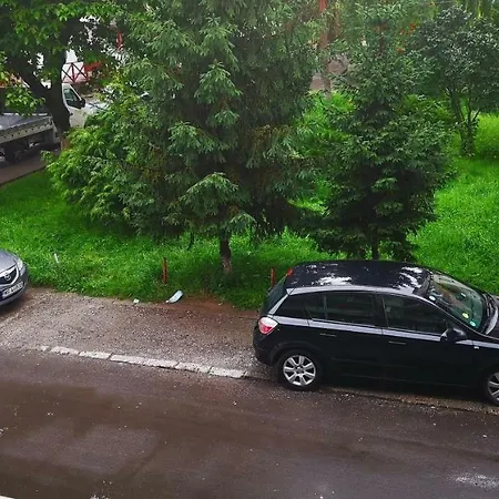 Green Apartament-2