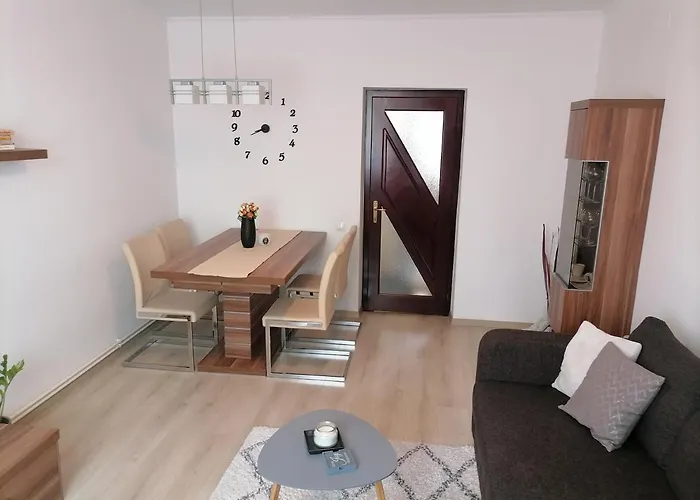 Joy Apartman Sovata
