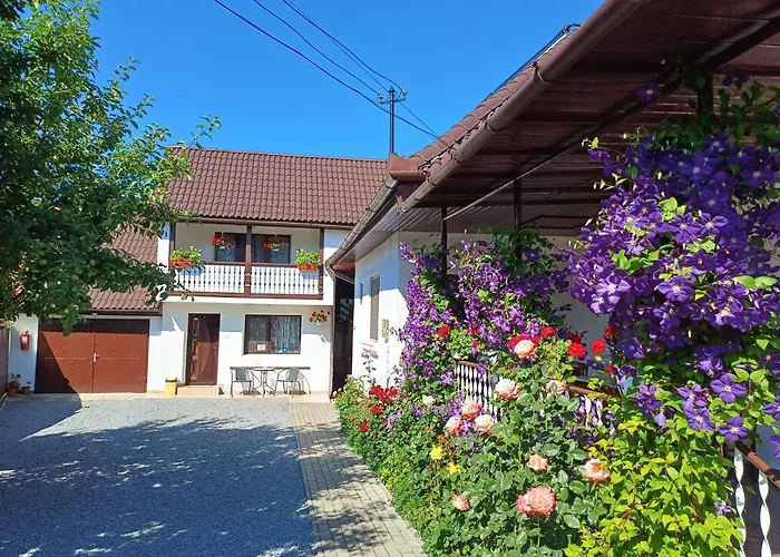 Casa Sallai Sovata