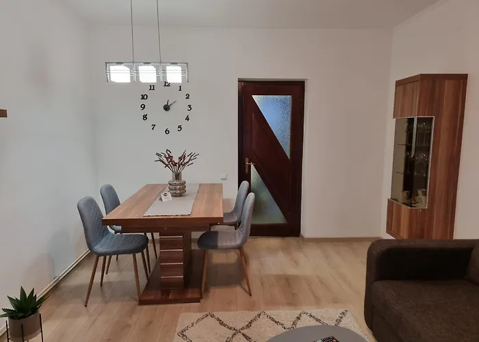Joy Apartman Sovata