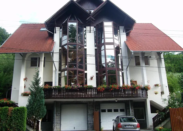 Casa Anette Apartment Sovata