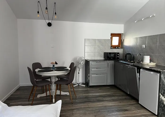 Casa Katona Apartment Sovata