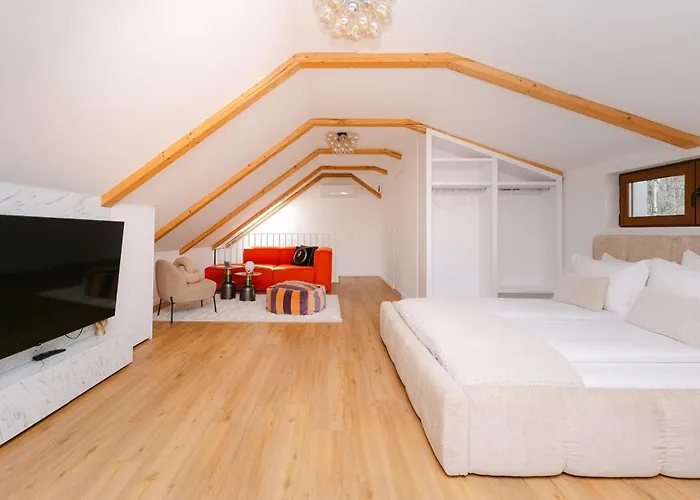 The Loft Apartment Sovata