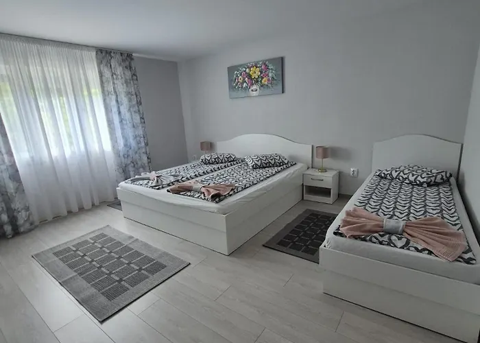 Casa De Oaspeti Anna Sovata