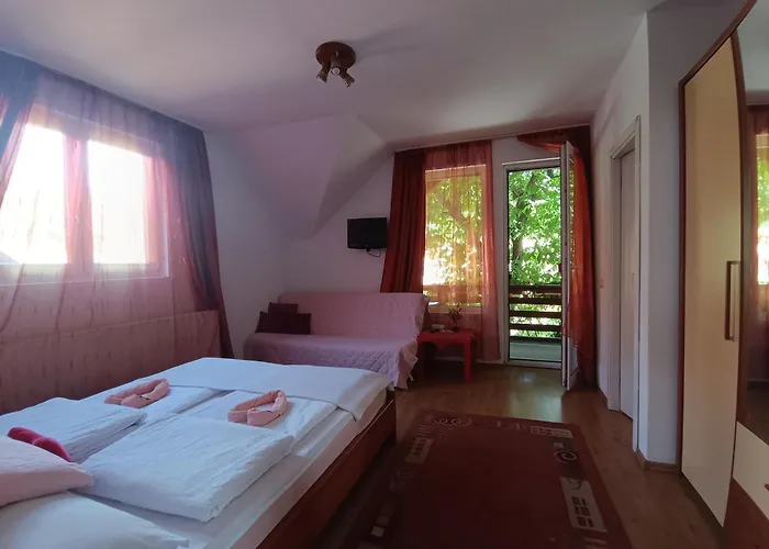 Pasager House Apartment Sovata