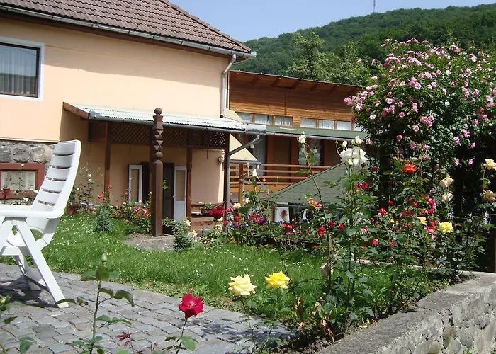 Casa Katona Apartment Sovata